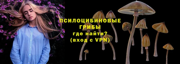 амф Беломорск
