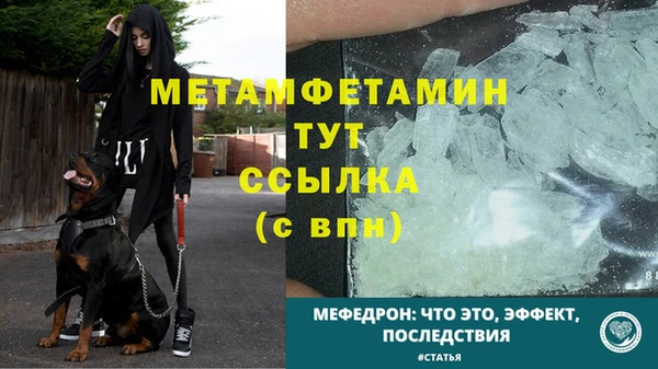 эйфоретик Белокуриха