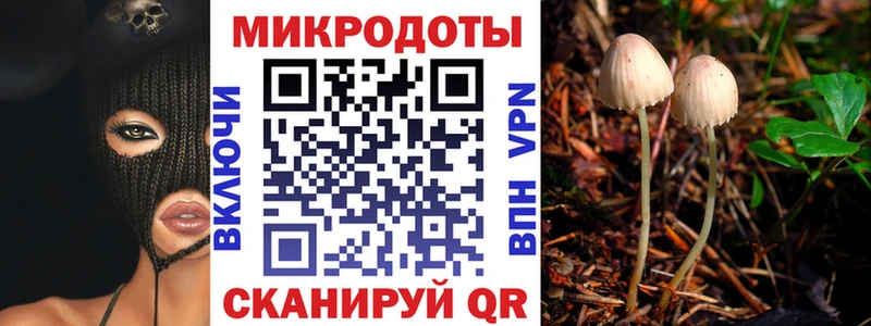 Галлюциногенные грибы прущие грибы  kraken ТОР  Курильск  закладка 